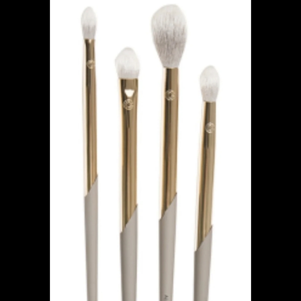 4 Piece Professional Eye Brush Exclusive Set